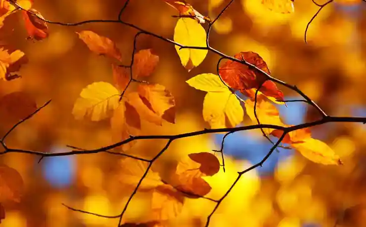 Autumn Getaway Breaks